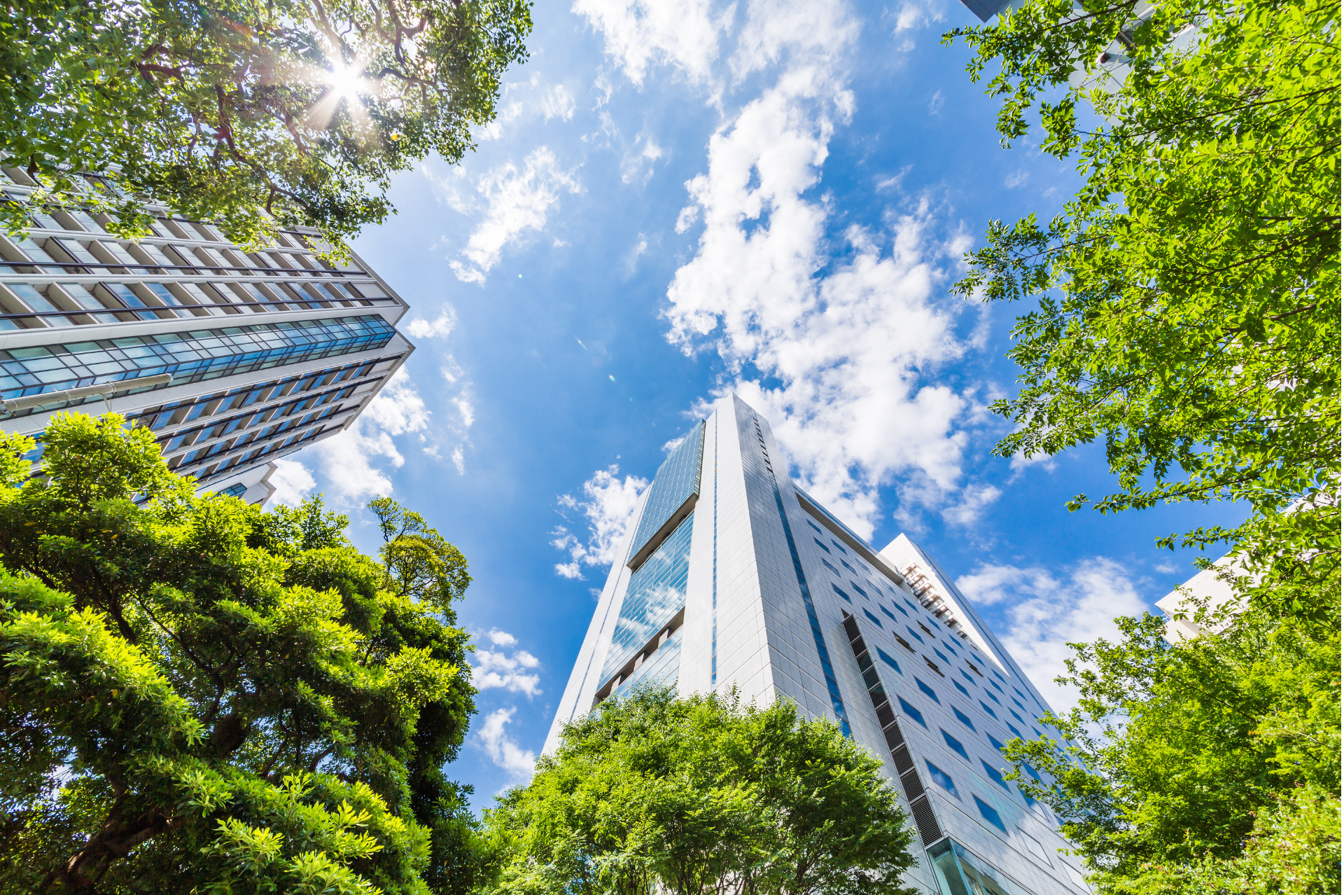 How can a business reduce carbon footprint How can a business reduce carbon footprint